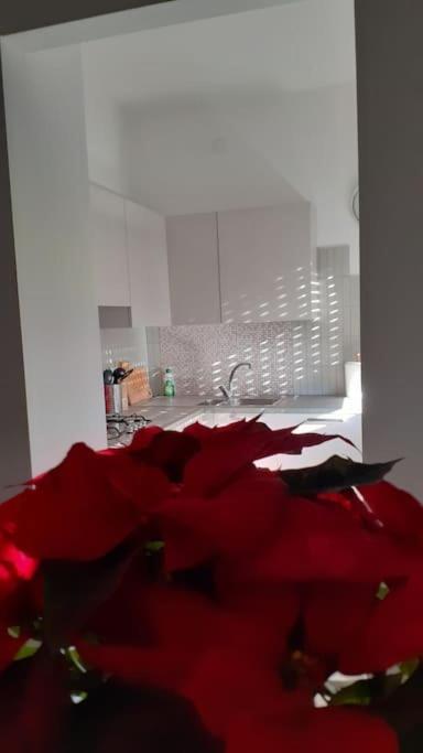 Lo Tsanty Casa Vacanza Аоста Экстерьер фото